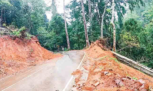 ശബരിമല: ഇത്തവണ സാഹസിക തീർഥാടനം