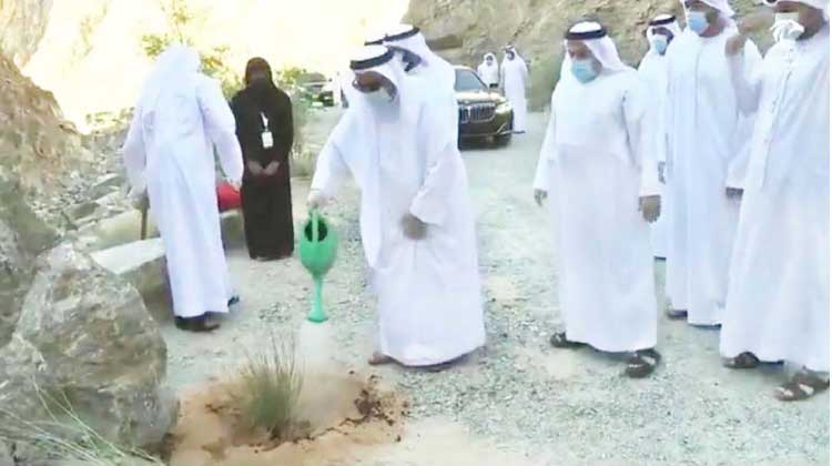 ഷീസ് പാർക്ക് ഉദ്ഘാടനം ചെയ്തു ഷീസ് പാർക്ക് ഉദ്ഘാടനം ചെയ്തു