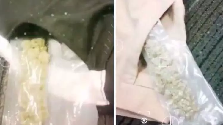 മയക്കുമരുന്ന് കടത്താൻ ശ്രമം; യാത്രക്കാരൻ പിടിയിൽ