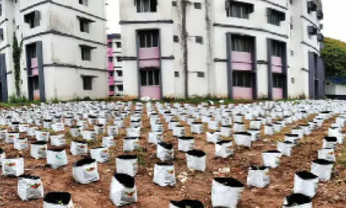 കോ​ഴി​ക്കോ​ട്ട്​ പൊലീസും പച്ചക്കറിയും ഭായീ ഭായീ