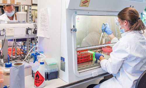 കോ​വി​ഡ്​ മ​രു​ന്ന്​; നി​ർ​ണാ​യ​ക ചു​വ​ടു​വെ​പ്പു​മാ​യി യു.​എ​സ്​ സ​ർ​വ​ക​ലാ​ശാ​ല