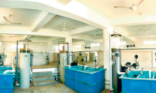 രാജ്യത്തെ ആദ്യ മത്സ്യ ബ്രൂ‌‌ഡ്ബാങ്കിന്​ കേരളത്തിൽ തുടക്കം