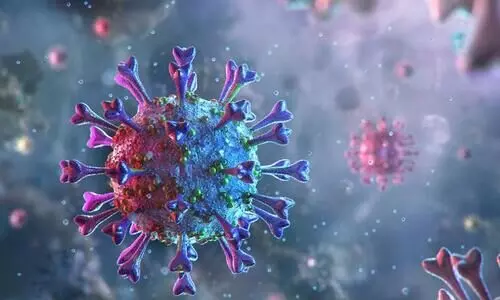 ശീ​തീ​ക​രി​ച്ച ഭ​ക്ഷ്യ പാ​ക്ക​റ്റി​ൽ കൊ​​റോ​ണ വൈ​റ​സ്