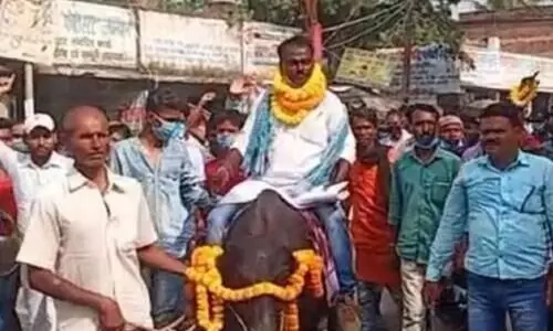 നാമനിർദേശ പത്രിക സമർപ്പിക്കാൻ സ്​ഥാനാർഥി എത്തിയത്​ പോത്തി​െൻറ പുറത്ത്​; കാർ ഇല്ലാത്തതുകൊണ്ടെന്നും വാദം