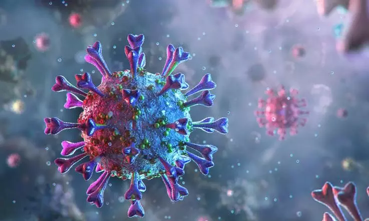 ശീതീകരിച്ച ഭക്ഷ്യ പാക്കറ്റിൽ കൊറോണ വൈറസ് ശീതീകരിച്ച ഭക്ഷ്യ പാക്കറ്റിൽ കൊറോണ വൈറസ്