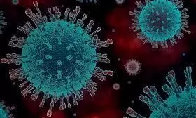 കോവിഡ്: ഒമാനിൽ 13 പേർ കൂടി മരിച്ചു കോവിഡ്: ഒമാനിൽ 13 പേർ കൂടി മരിച്ചു