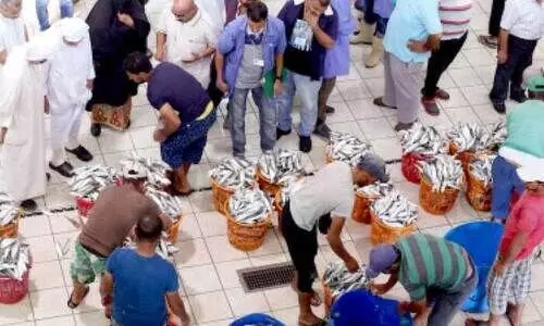 മത്സ്യമാർക്കറ്റുകളിൽ ലേലം പുനരാരംഭിക്കുന്നു