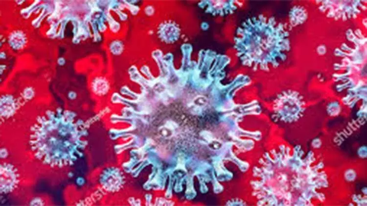 കോ​വി​ഡ്​: പു​തി​യ രോ​ഗി​ക​ൾ 240, രോ​ഗ​മു​ക്​​ത​ർ 244