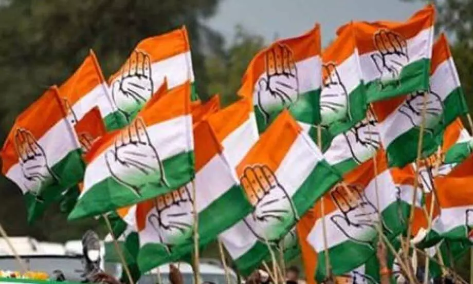 Palestine Solidarity Rally, Congress