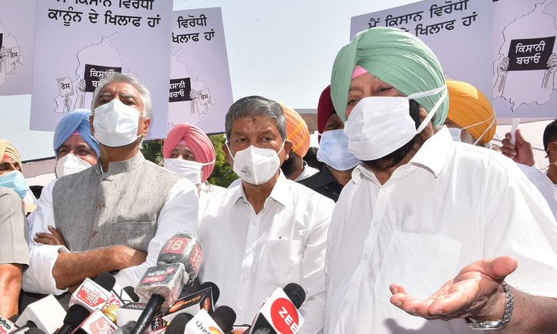 കേന്ദ്രത്തിെൻറ കാർഷിക നിയമത്തെ തള്ളി പഞ്ചാബ്; പുതിയ നിയമ നിർമാണം കേന്ദ്രത്തിെൻറ കാർഷിക നിയമത്തെ തള്ളി പഞ്ചാബ്; പുതിയ നിയമ നിർമാണം