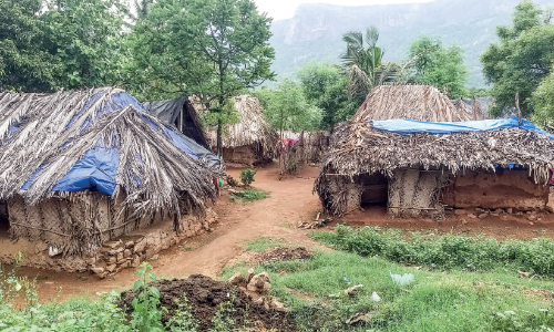കോളനികളിൽ വാറ്റ്, കഞ്ചാവ് ഏജൻറുമാർ പിടിമുറുക്കുന്നു
