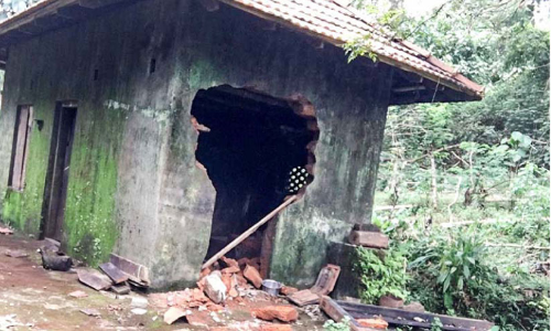 ആനപ്പേടി; ജനം നാടുവിടുന്നു