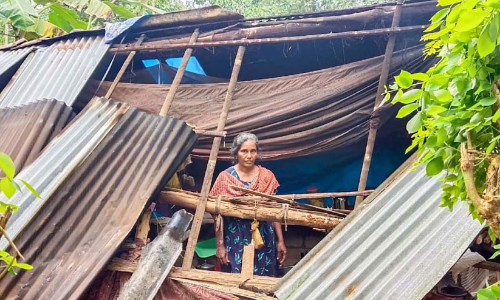 വടാട്ടുപാറയിൽ കാട്ടാനക്കൂട്ടം വീട്​ തകർത്തു; വീട്ടുടമക്ക്​ പരിക്ക്