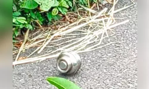 തോക്കും തിരകളും കണ്ടെത്തിയതിന് പിന്നാലെ പയ്യന്നൂരിൽ വ്യാജ ബോംബും