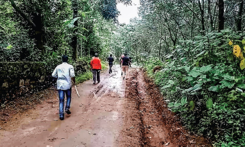 ചന്ദനക്കടത്ത്​: വനപാലകരും കൊള്ളക്കാരും ഏറ്റുമുട്ടി; നാലുപേർ അറസ്​റ്റിൽ