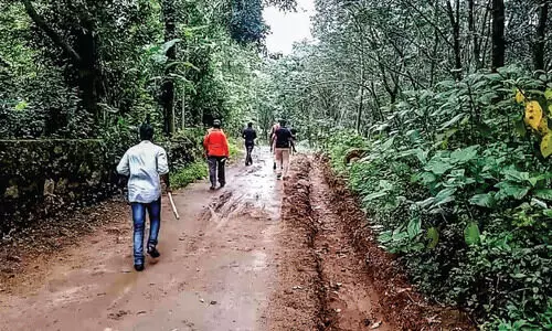 ചന്ദനക്കടത്ത്​: വനപാലകരും കൊള്ളക്കാരും ഏറ്റുമുട്ടി; നാലുപേർ അറസ്​റ്റിൽ