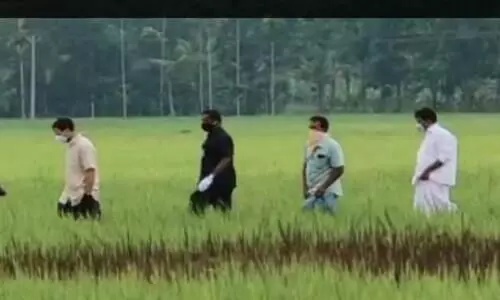 വയലിലിറങ്ങി, കൃഷിയോടിണങ്ങി രാഹുലി​െൻറ വയനാടൻ സന്ദർശനം