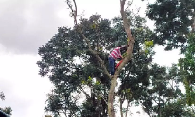 സസ്പെൻഷനിലായ മൃഗ സംരക്ഷണ വകുപ്പിലെ താൽക്കാലിക ജീവനക്കാരൻ മരത്തിൽ കയറി ആത്മഹത്യ ഭീഷണി മുഴക്കി