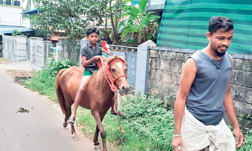 പെട്രോൾ വില കൂസാതെ ജംഷീദ്; സവാരിക്ക് കുതിര