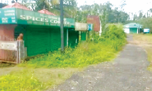 ഇക്കോ ടൂറിസം കേന്ദ്രങ്ങൾ അടഞ്ഞുതന്നെ; വിനോദ ​േ​കന്ദ്രങ്ങളെ ആശ്രയിച്ചിരുന്നവർ ദുരിതത്തിൽ