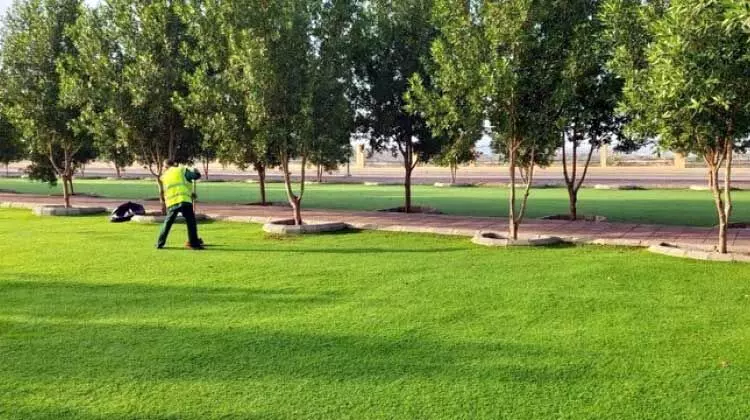 സൗദിയിൽ ശൈത്യകാലോത്സവം നവംബർ 15 മുതൽ സൗദിയിൽ ശൈത്യകാലോത്സവം നവംബർ 15 മുതൽ