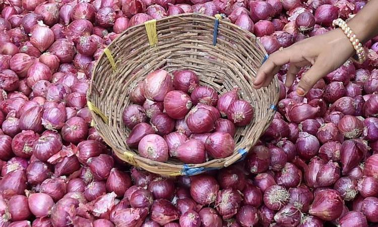 പൂഴ്ത്തിവെപ്പിനെതിരെ നടപടി: സവാള വില കുറഞ്ഞുതുടങ്ങി പൂഴ്ത്തിവെപ്പിനെതിരെ നടപടി: സവാള വില കുറഞ്ഞുതുടങ്ങി