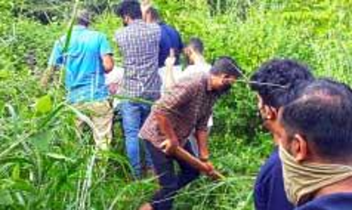 ആമ്പിലാട്ട്​ പുലിയെ കണ്ടതായി അഭ്യൂഹം