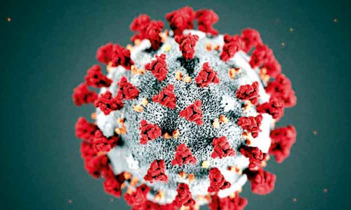 374 പേ​ർ​ക്ക്​ കൂ​ടി കോ​വി​ഡ്​