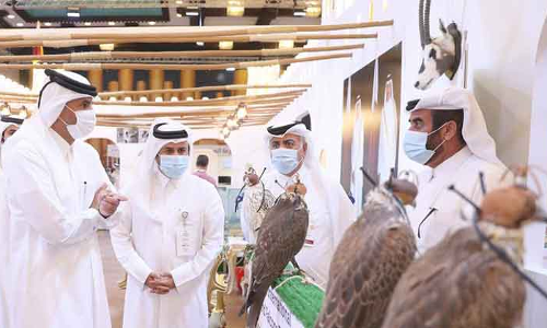 ഫാൽക്കൺ പക്ഷികളെ അടുത്തറിയാം; സ്​ഹൈൽ നാളെ അവസാനിക്കും