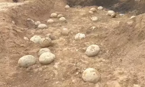 തമിഴ്‌നാട്ടില്‍ കണ്ടെത്തിയത് ദിനോസറിന്റെ മുട്ടകളല്ലെന്ന്