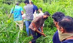 ആമ്പിലാട്ട് പുലിയെ കണ്ടതായി അഭ്യൂഹം ആമ്പിലാട്ട് പുലിയെ കണ്ടതായി അഭ്യൂഹം