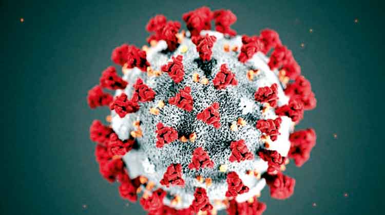 374 പേർക്ക് കൂടി കോവിഡ് 374 പേർക്ക് കൂടി കോവിഡ്