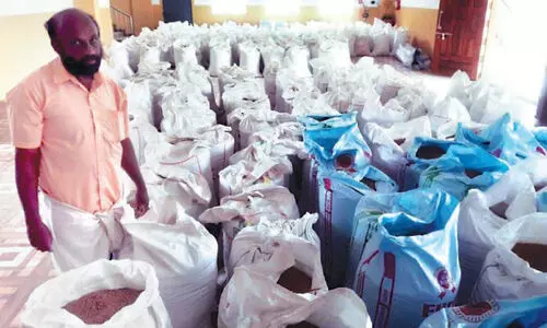 സം​ഭ​ര​ണം അ​വ​താ​ള​ത്തി​ൽ നെ​ല്ല്​ ന​ശി​ക്കു​ന്നു;  കർഷർക്ക്​ കണ്ണീർ...