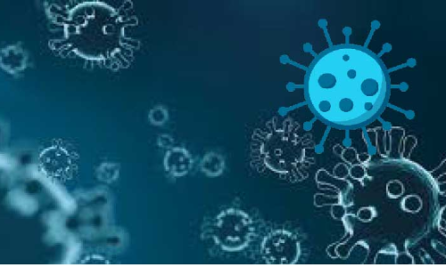 രാത്രിയാത്ര വിലക്ക്​ അവസാനിച്ചു; ബീച്ചുകളിൽ വിലക്ക്​ തുടരും