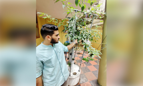 മണ്ണില്ലാതെ വെള്ളത്തിലൂടെ സസ്യം വിളയിച്ച് ബിരുദ വിദ്യാർഥി