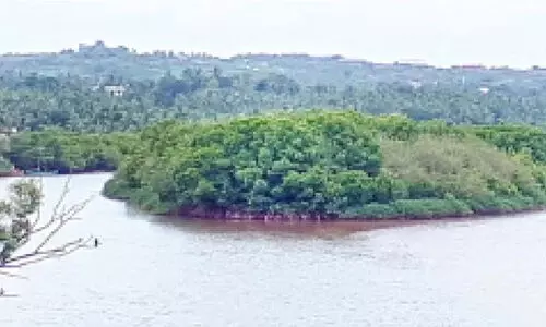 വിനോദസഞ്ചാര സാധ്യത തേടി മൊഗ്രാൽ പുഴയോരവും കടലോരവും