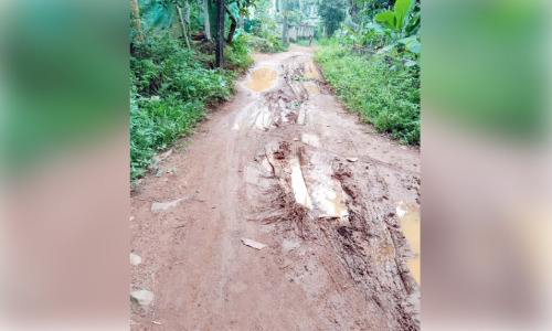 ആറങ്ങോട് മൂശാരിയേടം റോഡ് ചളി നിറഞ്ഞ് ഗതാഗതയോഗ്യമല്ലാതായി