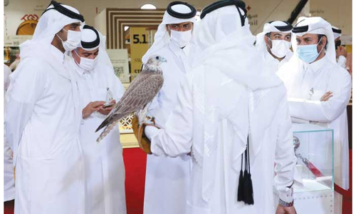 സ്​ഹൈൽ കൊടിയിറങ്ങി