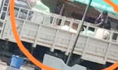 പച്ചക്കറി ലോറികളിൽ നിരോധിത കീടനാശിനികൾ കടത്തുന്നു