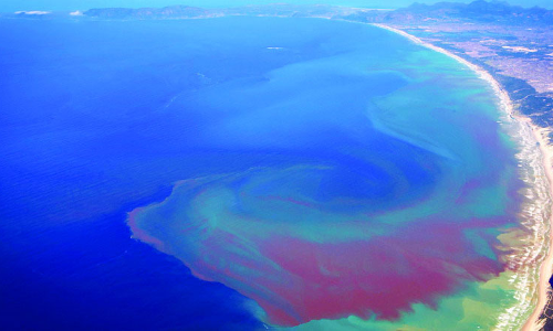 കടൽക്കറ: കല്ലുമ്മക്കായ കഴിച്ചവർക്ക്​ ഭക്ഷ്യവിഷബാധ, മലയാളികളടക്കമുള്ളവർ ചികിത്സയിൽ