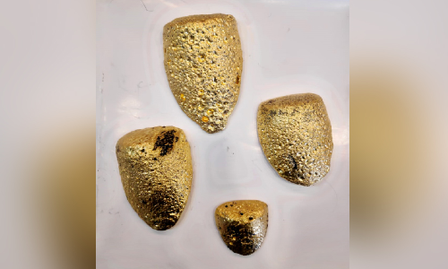 നെടുമ്പാശ്ശേരിയിൽ രേണ്ടകാൽ കോടിയുടെ സ്വർണം പിടിച്ചു നെടുമ്പാശ്ശേരിയിൽ രേണ്ടകാൽ കോടിയുടെ സ്വർണം പിടിച്ചു