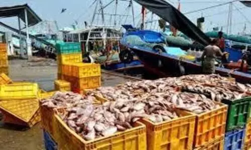 ഓർഡിനൻസ്: മത്സ്യമേഖല പ്രക്ഷോഭത്തിലേക്ക്