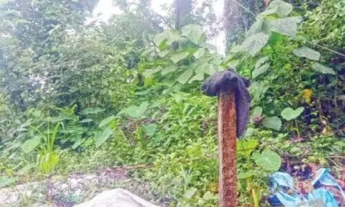 ഇരിട്ടി പോസ്​റ്റ്​ ഓഫിസ് വാടക കെട്ടിടത്തില്‍: കോടികള്‍ വിലയുള്ള സ്വന്തം ഭൂമി കാടുമൂടിയ നിലയില്‍