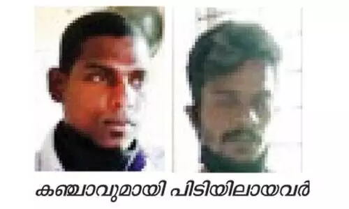 തളിപ്പറമ്പിൽ കഞ്ചാവുമായി രണ്ടുപേർ പിടിയിൽ