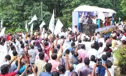 സ്ഥാനാര്‍ഥികളെ പ്രഖ്യാപിച്ച് ട്വൻറി 20;നേരിടാന്‍ ഉറച്ച് കോണ്‍ഗ്രസ്