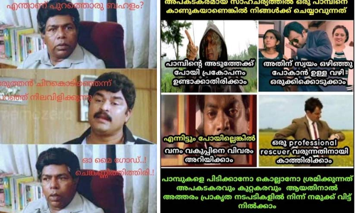 ഓ! മൈ ഗോഡ്! തിത്തിരിപ്പക്ഷി; ജൈവവൈവിധ്യ പെരുമ വിളിച്ചോതി ട്രോൾ മത്സരം