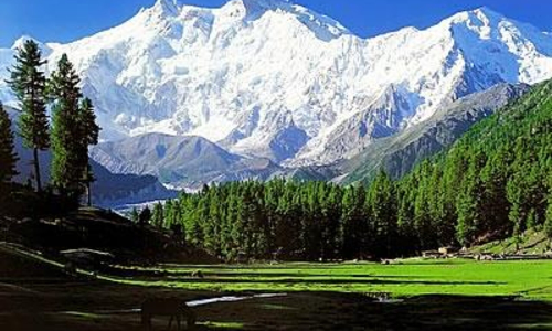 Now, any Indian citizen can buy land in Jammu & Kashmir