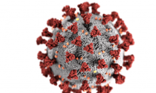 കോവിഡ്: ഒമാനിലെ രോഗമുക്തരുടെ എണ്ണം ലക്ഷത്തിനോട് അടുത്തു കോവിഡ്: ഒമാനിലെ രോഗമുക്തരുടെ എണ്ണം ലക്ഷത്തിനോട് അടുത്തു