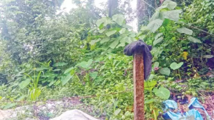 ഇരിട്ടി പോസ്​റ്റ്​ ഓഫിസ് വാടക കെട്ടിടത്തില്‍: കോടികള്‍ വിലയുള്ള സ്വന്തം ഭൂമി കാടുമൂടിയ നിലയില്‍