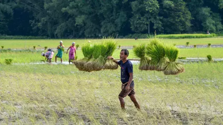 പ്രധാനമന്ത്രി കിസാൻ സമ്മാൻ നിധി: പണം നൽകിയത്​ യോഗ്യതയില്ലാത്തവർക്ക്​, കേന്ദ്രത്തിന്​ നഷ്​ടം 2600 കോടി